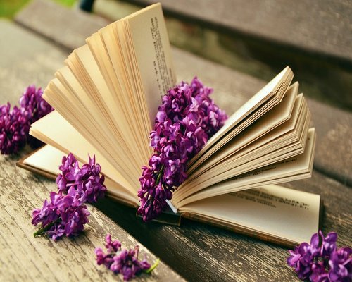 Soft evening light shining through a window in a comfortable reading corner